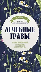 Лечебные травы. Иллюстрированный справочник-определитель