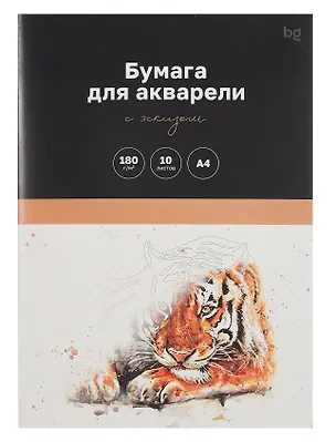 Папка для акварели А4 10л "Животные" 180г/м2, с эскизом, BG — 3099108 — 1